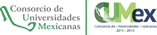 Partner Name